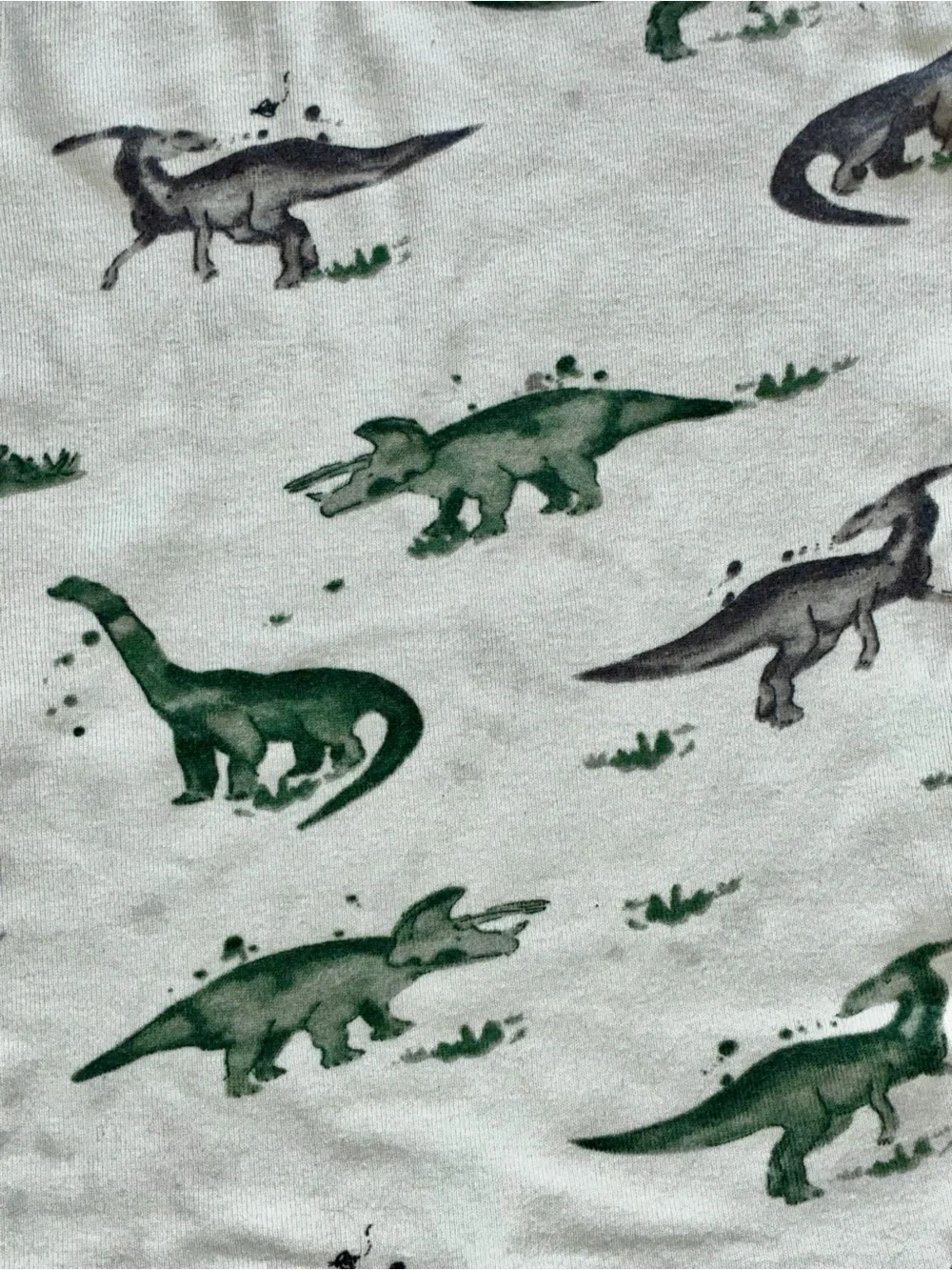 Burt's Bees Green and Gray Dinosaur Pajama Set